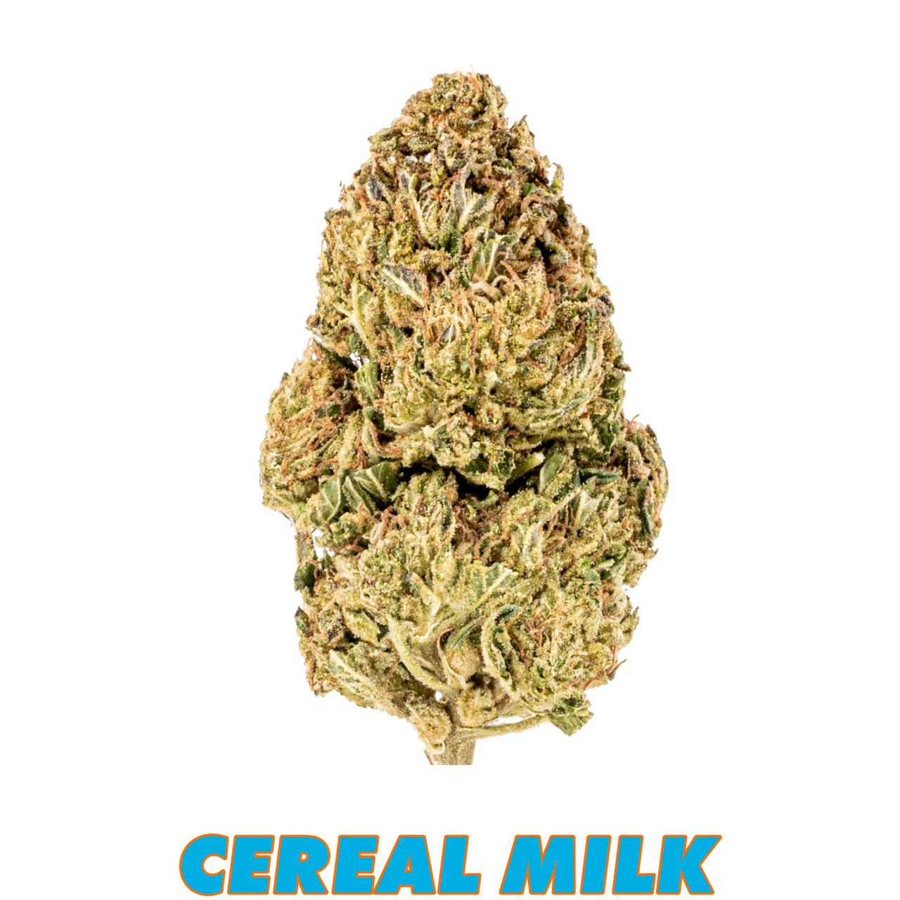 CEREAL MILK STRAIN